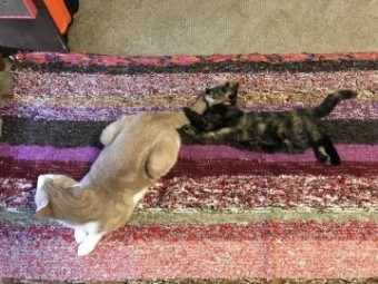 IMG_1341 IMG_1341-e1539502885851